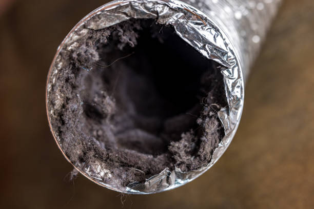 Best Best Air Duct Cleaning Company  in Waynesboro, MS