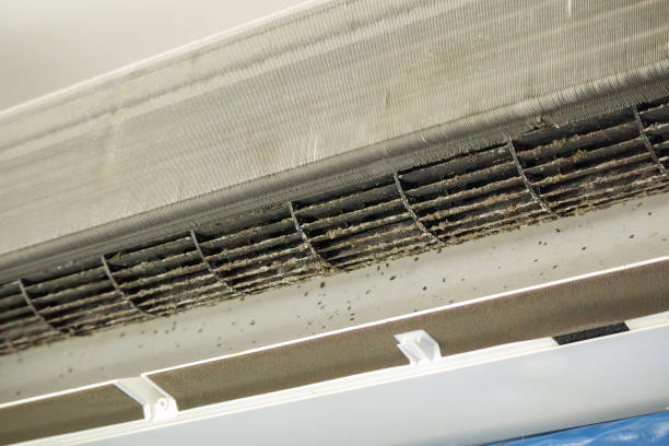 Best Emergency Air Duct Cleaning  in Waynesboro, MS